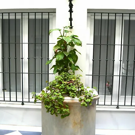 Appartamento La Casa Del Reloj Cadice